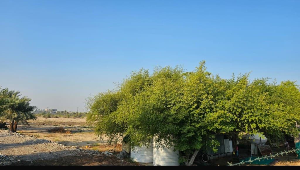 property_image