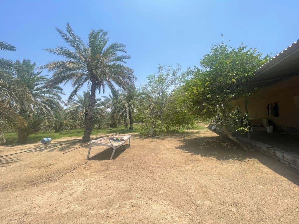 property_image