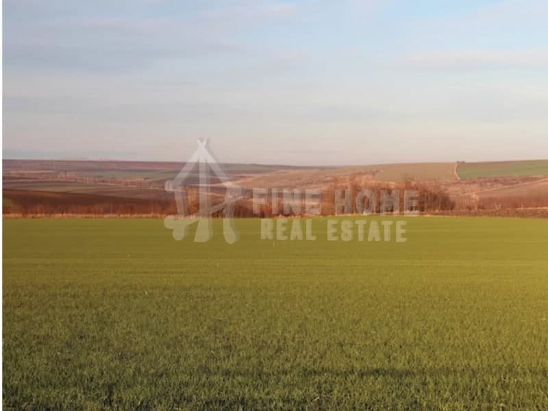 property_image