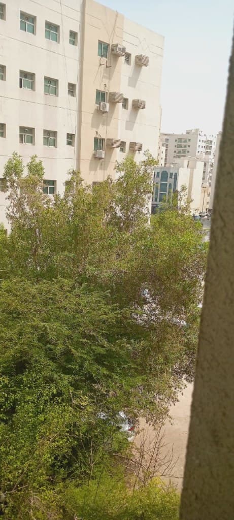 property_image