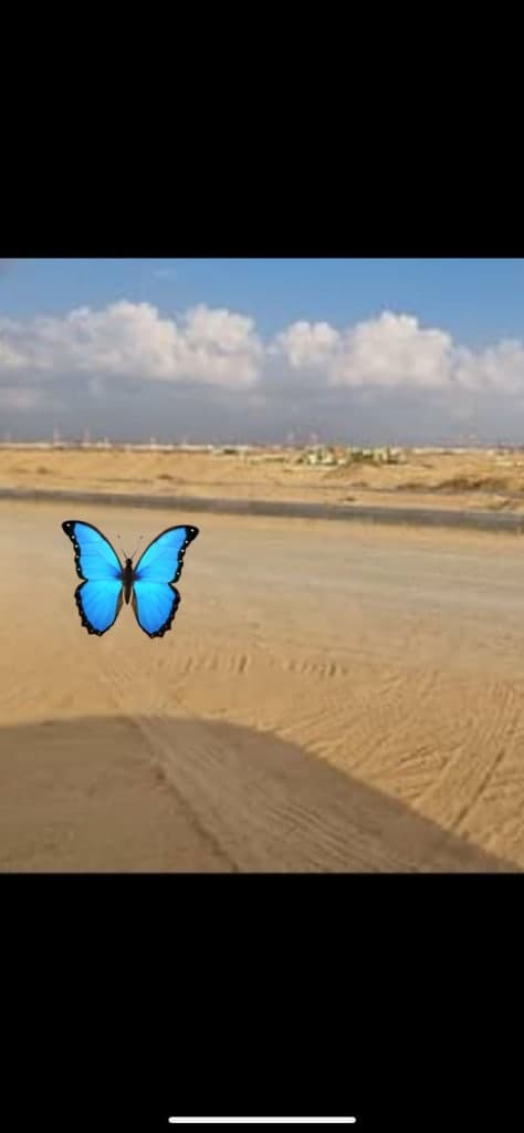 property_image