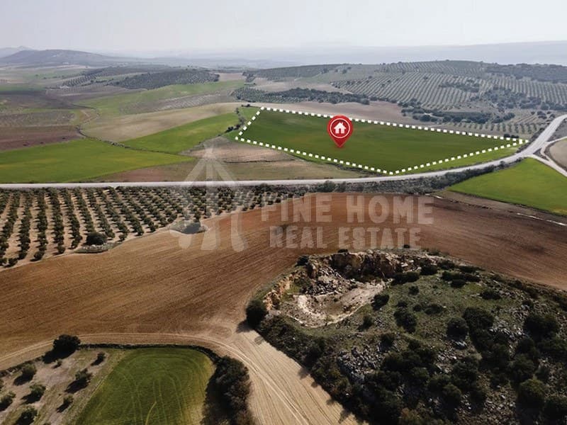 property_image