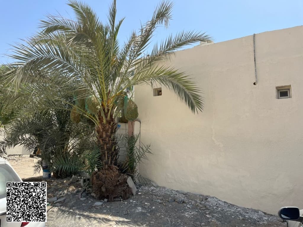 property_image